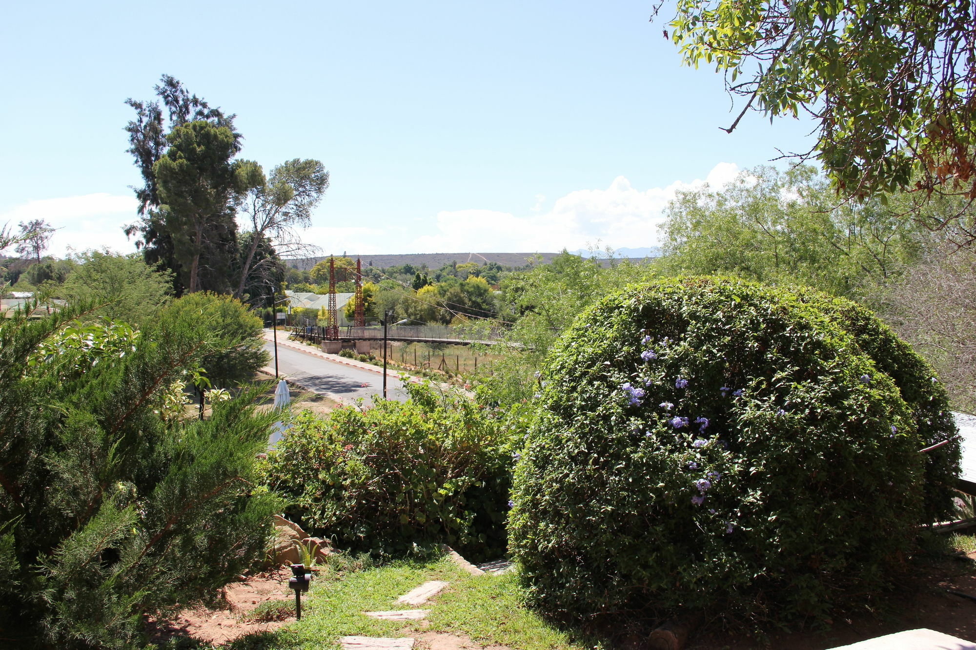 Gumtree Guest House Oudtshoorn Exterior foto