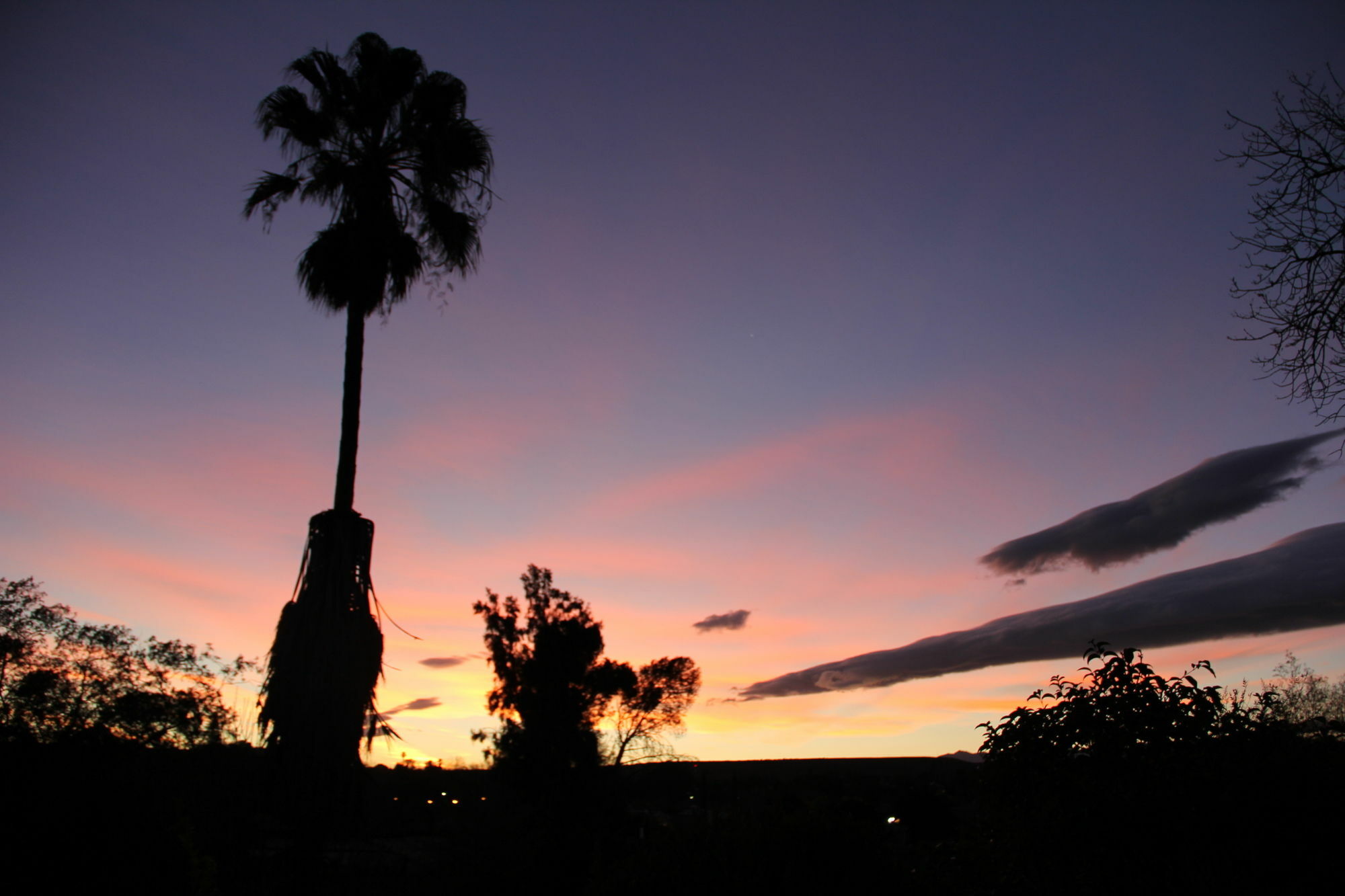 Gumtree Guest House Oudtshoorn Exterior foto